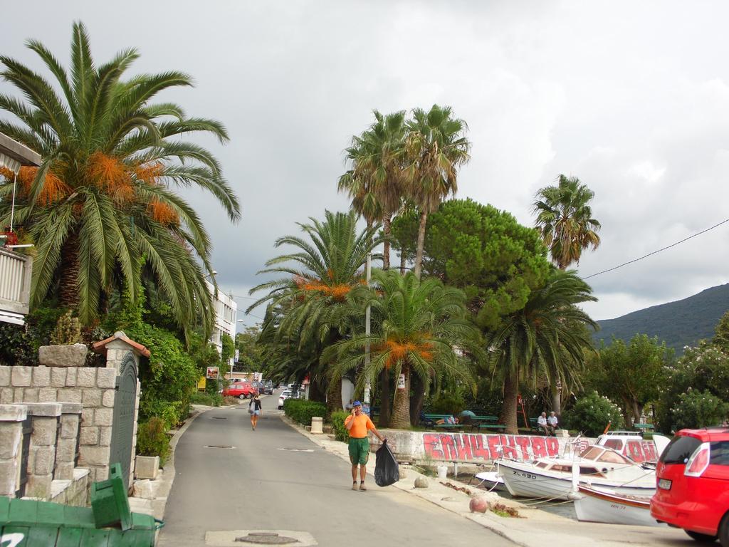 Apartment Begonia Of Kumbor Herceg Novi Bagian luar foto